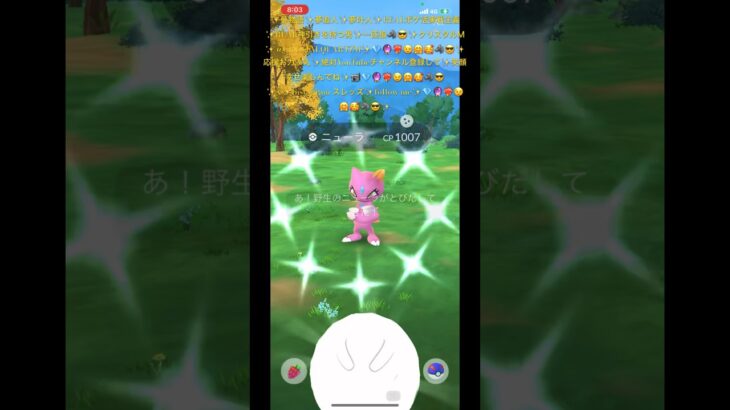 ✨【ポケモンGO】【激レア野生色違いニューラ降臨】【クリスタルＭ打法】【極小エクセレント撃ち抜く】📹💎🔮❤️‍🔥😉🤗🥰🐺😎登録してね✨#pokemongo #ポケモンgo #ポケモン