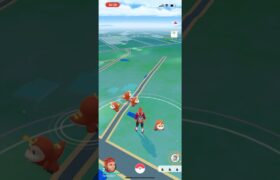 【ポケモンGO】ホゲータ#shorts #ポケモンgo