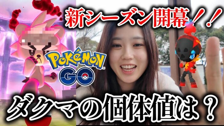 【ガチャ】ダクマガチャ！気になる個体値は⁉️意外なMAXがまた孵化🐣レイドアワー ポケモンGO Pokémon GO 포켓몬고