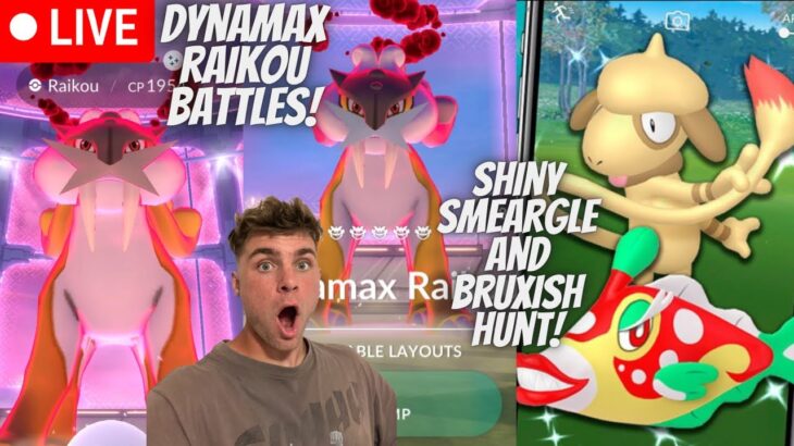 ✨NEW Dynamax Raikou Raids, Shiny Bruxish Hunt and Shiny Smeargle Hunt In Pokemon Go LIVE!✨