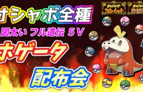 何度でも交換OK！ホゲータ全種類オシャボ配布会！【ポケモンSV】