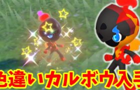 【ポケモンSV】人気のソウブレイズとグレナルマに進化する色違いカルボウを入手しよう！【ポケモンスカーレットバイオレット・ゼロの秘宝】