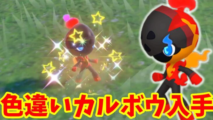 【ポケモンSV】人気のソウブレイズとグレナルマに進化する色違いカルボウを入手しよう！【ポケモンスカーレットバイオレット・ゼロの秘宝】