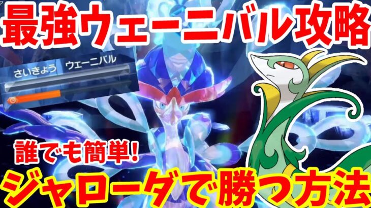 【ポケモンSV】最強ウェーニバル攻略！ジャローダで誰でも簡単に勝つ方法まとめ！【ポケモンスカーレットバイオレット・ゼロの秘宝】