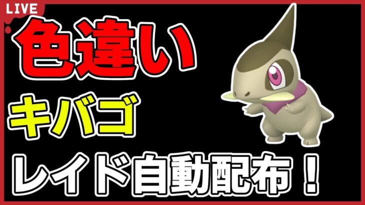 【ワンパン最速】色違いキバゴレイド自動配布！【ポケモンSV】#2