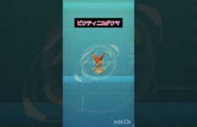 ビクティニ&ダクマ　#ポケモン #ポケモンgo #ビクティニ #ダクマ　#捕獲 #結果 #伸びろ