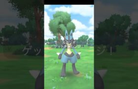 ポケモンgo、メガルカリオ討伐