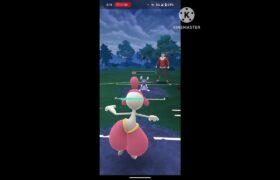 掛け軸カップ #ポケモンgoバトルリーグ