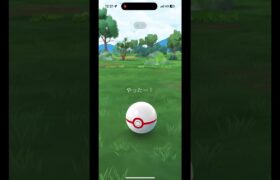 色違いキュレム高個体#ポケモンgo