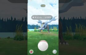 キュレム倒すぜ!!! #ポケモンgo