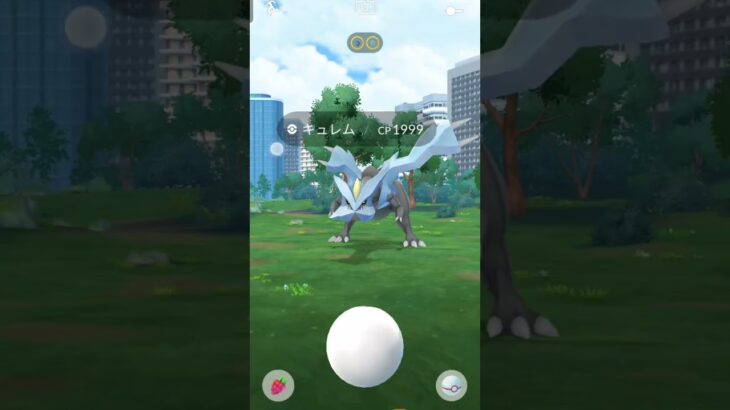 キュレム倒すぜ!!!#ポケモンgo