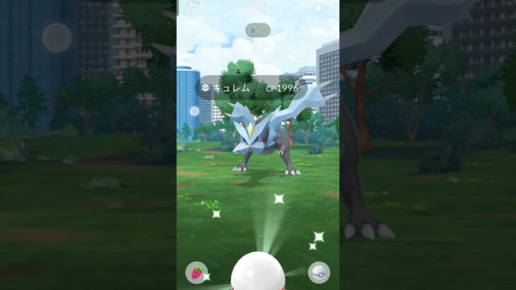 キュレム倒すぜ!!! #ポケモンgo