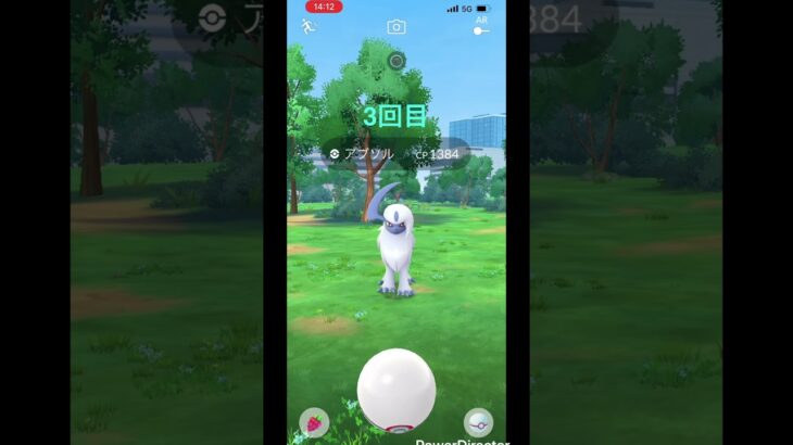 【ポケモンgo】　メガアブソルのレイドデイの結果！ #ポケモンgo