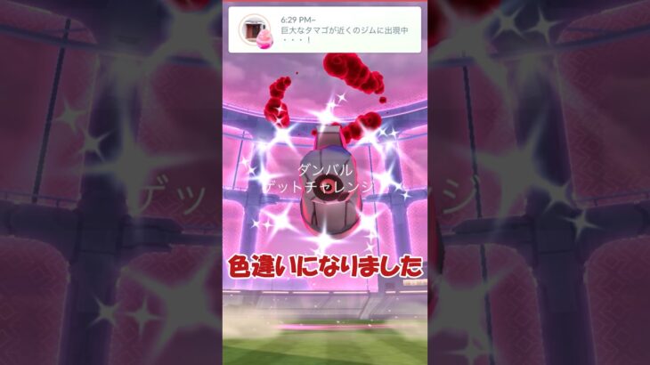 ✨色違いダイマックスダンバルがキター😲✨#ポケモンgo #pokemongo #pokemongoshorts