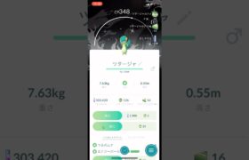 黒背景色違いツタージャ！！#shorts #pokemongo #pokemon #ポケモンgo #ポケモン