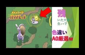 【ポケモンsv】色違いヌメルゴンA0厳選最終回　（次回からランクマッチ）　最後に奇跡が　※次回の予定は概要欄に記入