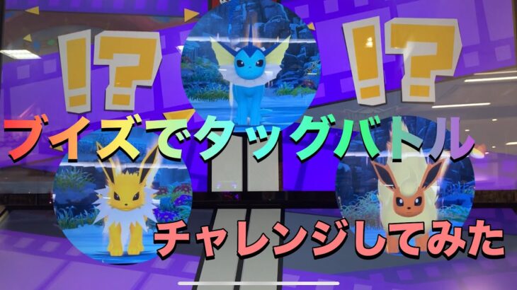 【ポケモンフレンダ４弾】ワンダーピックのブイズでスーパートレジャーポケモンと勝負してみた！