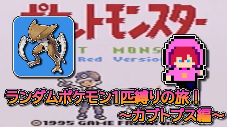 【縛りプレイ】ランダムポケモン１匹縛りの旅！～カブトプス編～【初見さん大歓迎】