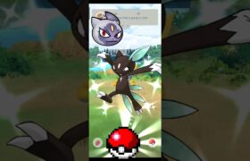 First Ever ✨ Shiny Sneasel In Wild #pokmongo #pokemon #ポケモンgo