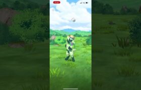 #ポケモンGO ニャローテ色違い
