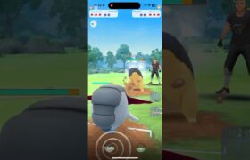 安定パーティー🥳　【ポケモンGO ハイパーリーグ】