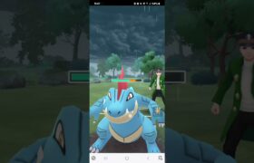 ポケモンGO 通常ハイパーリーグ アーマードミュウツー、Sカイリュー、Sアローラキュウコン