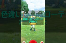 【ポケモンGO】アニメコラボのニャローテの色違いが現れた‼️‼️‼️#ポケモン #pokemon #pokemongo #ポケットモンスター #ポケモンgo ##pokémon #shorts