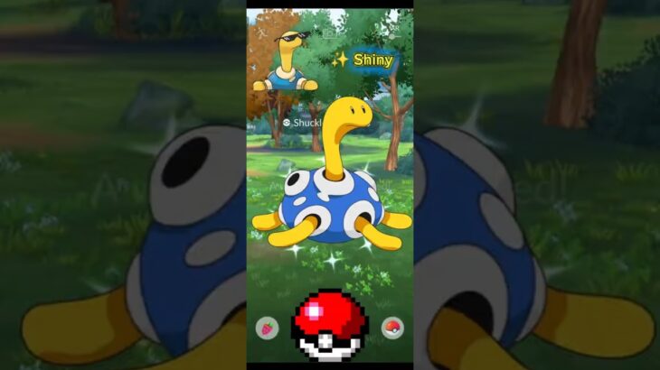 Getting Lucky With ✨ Shiny Shuckle In #pokmongo #pokemon #ポケモンgo