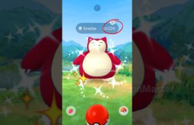 Let’s GO ✨ Got wild Shiny LAZY BEAR in (Pokemon GO)