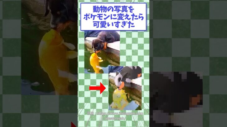 動物の写真をポケモンに変えたらイラストが可愛すぎる　#ポケモン #イラスト #shorts
