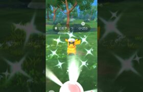 キャプテンピカチュウの色違いゲットした！ #shorts #ポケモンgo #色違いポケモン