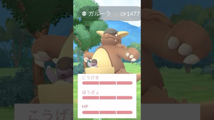 100%ガルーラきたああああああああああ！！！！！！！ #ポケモンGO #ガルーラ　#メガガルーラ