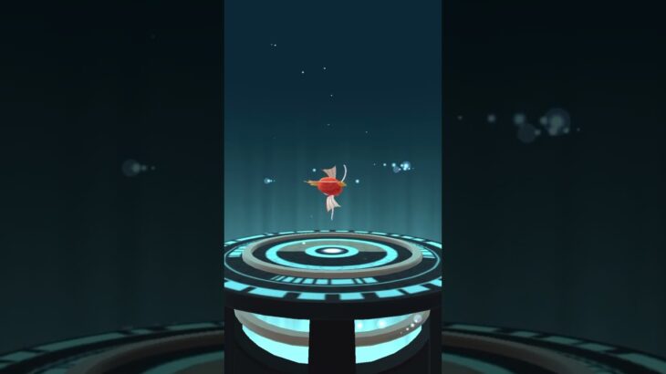 コイキング100%進化！ #ポケモンgo #ポケモン #pokemongo