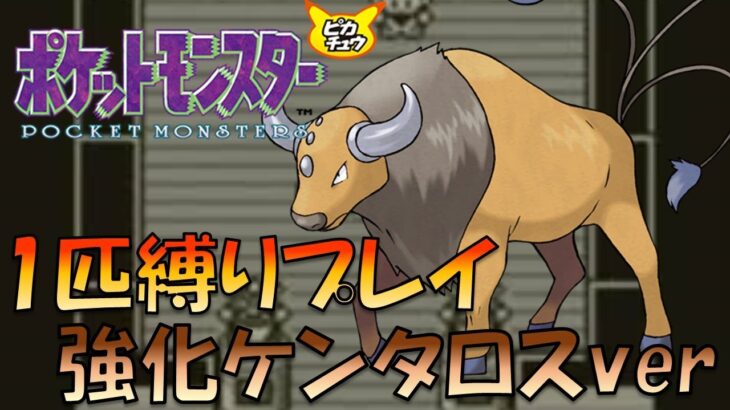 【ポケモン初代】初代の環境で猛威を振るった技を覚えたケンタロス使ってあばれれば2時間で殿堂入りできるのでは!!?【ゲーム実況】【縛りプレイ】