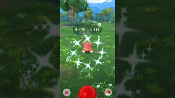 3匹目！#ポケモンgo