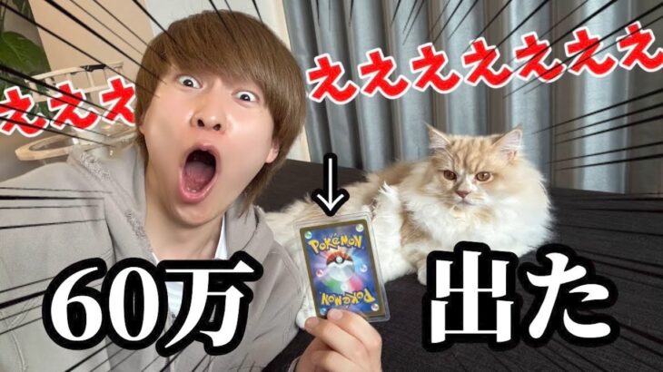 誰も見たことない60万円超えのポケモンカードを遂にオリパで引いてしまうダイキ様