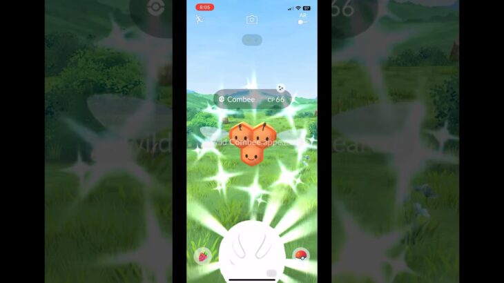Almost shundo combee in pokemon go #pokemongo #viral #pokemon #shiny #combee