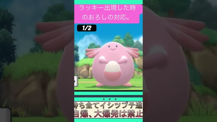 【ポケモンBDSP配信切り抜き】レア？の時の対応。1/2 #ポケモン #ポケモンシャイニングパール #ゲーム実況 #ゲーム #shorts