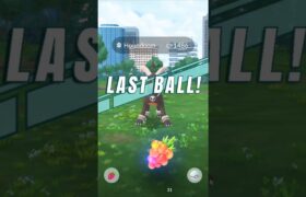 Can I Got😱Mega Houndoom riads in pokemon go