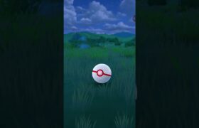 Catching Shadow Tirtouga! Pokemon GO #pokemon #pokemonchannel #pokemongosafarizone