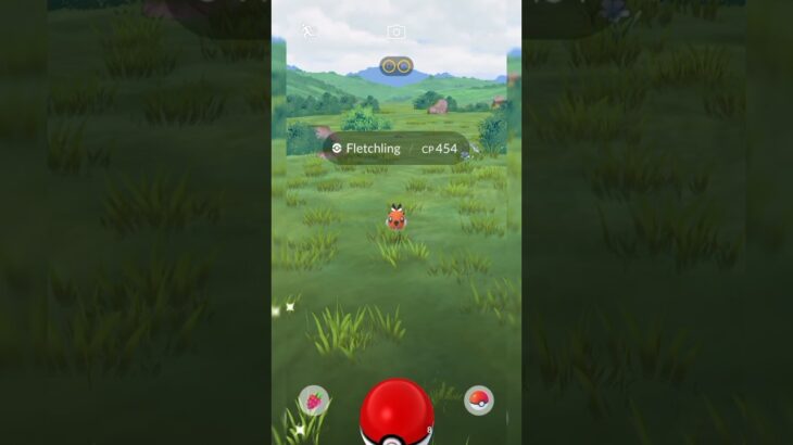 Catching a Fletchling pokemon go with 454cp in the wild #pokemon #pokemongo