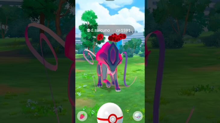Dynamax Suicune Make Their Debut in  Pokémon Go #shorts #debut #ultragoo #dynamax #legendary #game