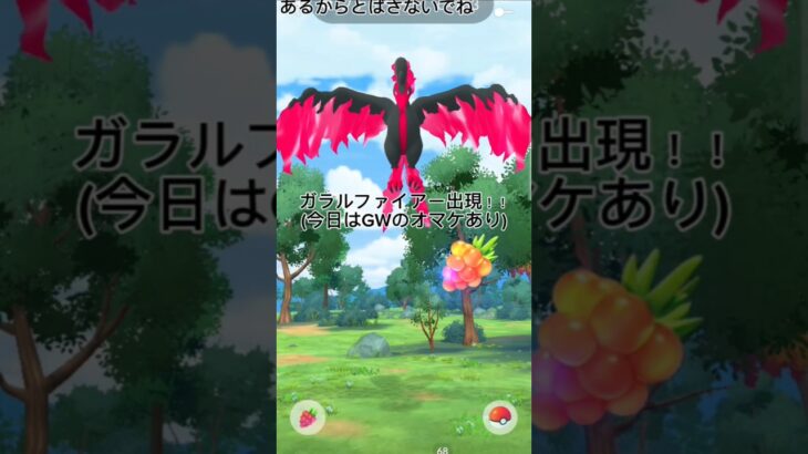ガラルファイアー出現！！GETできるか！？#ポケモン #ポケモンgo