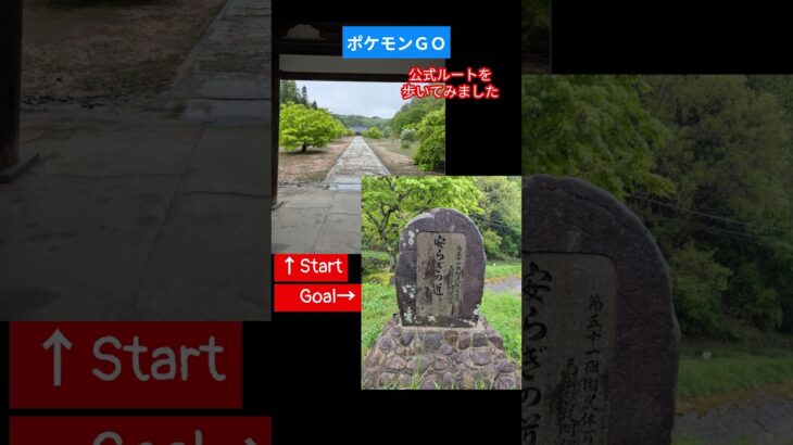 【ポケモンGO】公式ルートを歩きました。 #光信寺 #公式ルート