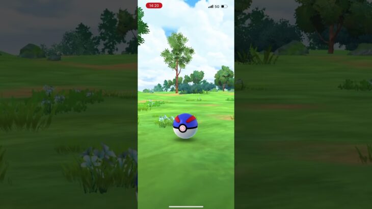 #ポケモンGO パモ色違い