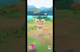 【ポケモンGO】待望の色違いシシコ初捕獲だぁぁ！！にしても可愛すぎる！