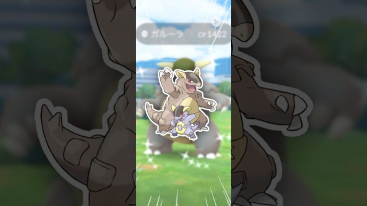 レイドは、キリ良く終わりたい！【ポケモンGO】