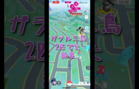 【 ポケモンGO 】ガラル三鳥2匹でた結果#ポケモンgo #ガラル三鳥