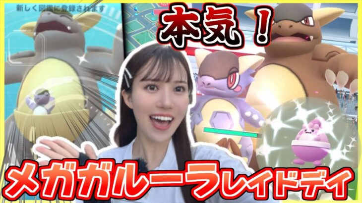 【レイドデイ】今しかない!!!地域限定のメガガルーラの色違い、高個体を狙う!!!【ポケモンGO】
