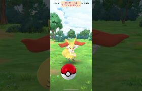 【難易度低】テールナー極小サークルクリティカルゲット【ポケモンGO】
